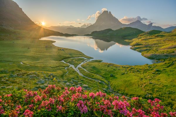 Tableau photo paysage, décoration murale pic du midi d'Ossau l'été avec le lac d'Ayous et les rhododendrons en fleurs. Pyrénées, montagne.